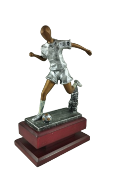 Trofeo futbol patada color plata, 0.29 cm